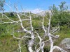Bild 22