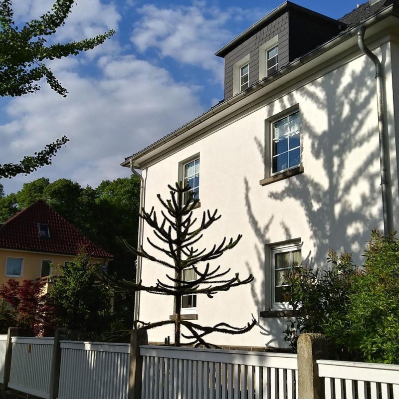 Ferielejlighed - 2 personer -  - Gabelsberger Straße - 01796 - Pirna