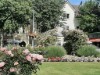 Bild 15