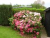 Bilde 32