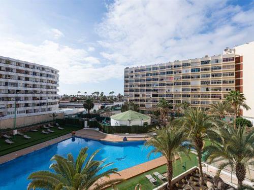 Holiday Home/Apartment - 3 persons -  - 35100 - San Bartolomé De Tirajana