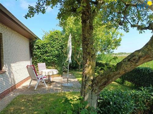 Ferielejlighed - 2 personer -  - Johann-Calvin-Str. - 26757 - Borkum