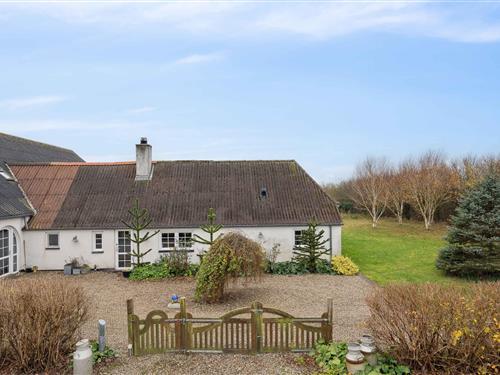 Bondehus - 7 personer -  - Tangsøvej - 7650 - Bøvlingbjerg