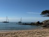 Bilde 24