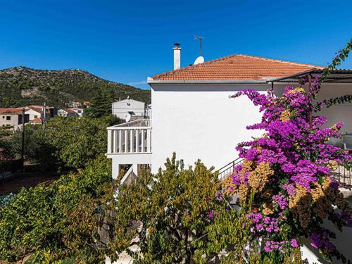 Ferieleilighet - 4 personer -  - Put Opatije - Trogir-Poljica - 21222 - Poljica