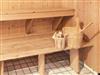 Billede 38 - Sauna