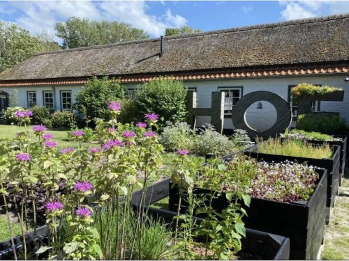 Holiday home - 4 persons -  - 4371PJ - Koudekerke