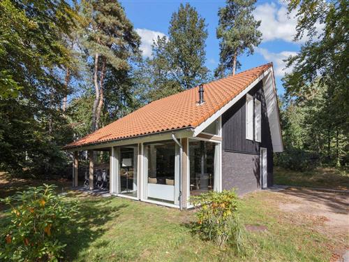 Holiday Home/Apartment - 8 persons -  - Miggelenbergweg - 7351 BP - Hoenderloo