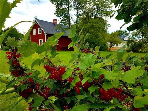 Fritidshus - 6 personer -  - Hultmansväg - 36027 - Klavreström