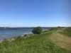 Bild 19