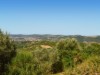 Billede 25