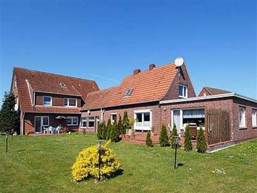 Ferieleilighet - 4 personer -  - Dorfstraße - 26556 - Utarp