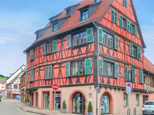 Holiday apartment - 4 persons -  - Rue du Marechal Foch - 67120 - Molsheim