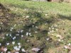 Bild 10 - Ude
