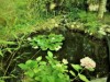 Bilde 8