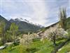 Image 11 - Outside