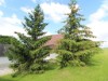 Bild 32 - Ude