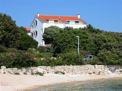 Holiday apartment - 2 persons -  - K. Krešimira IV 2a, Mandre - 23251 - Kolan