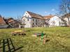 Bild 15