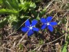 Bild 65