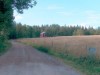 Billede 14 - Udsigt