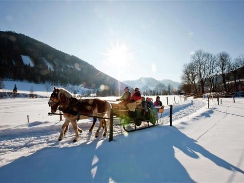 Sommerhus - 8 personer -  - 8785 - Hohentauern