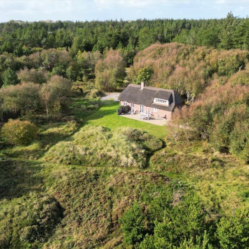 Ferienhaus - 4 Personen -  - Kjærgaardvej - Vester Husby - 6990 - Ulfborg