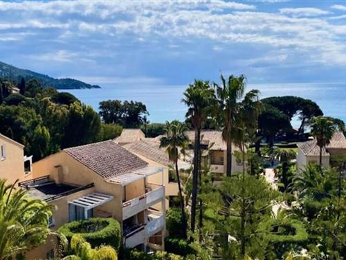Ferielejlighed - 4 personer -  - 83980 - Le Lavandou