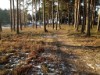 Bild 20 - Ude