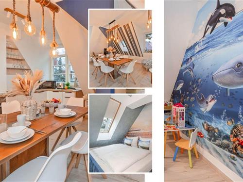 Ferienwohnung - 7 Personen -  - Bohaterów Wrzesnia - 72-600 - Swinemünde