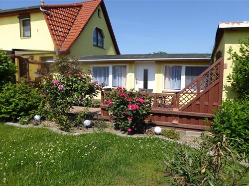 Bungalow - 4 Personen -  - 18230 - Zweedorf