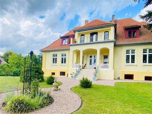 Ferielejlighed - 2 personer -  - Kastanienallee - 17258 - Feldberger Seenlandschaft