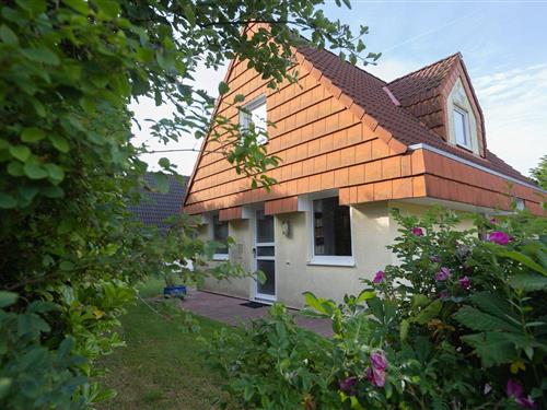 Holiday Home/Apartment - 6 persons -  - Vogelsand - 27639 - Wurster Nordseeküste