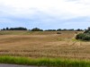 Image 16