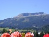 Bild 36