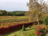Image 19 - Outside