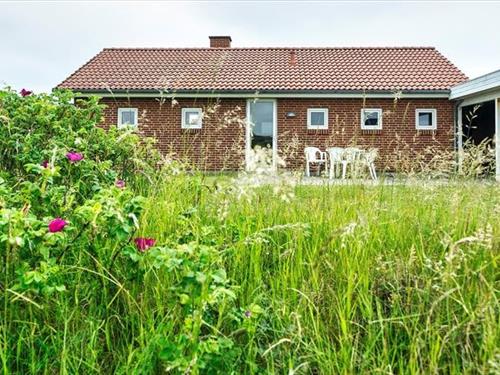 Sommerhus - 4 personer -  - Nordvej - Vejers Strand Og By - 6853 - Vejers Strand