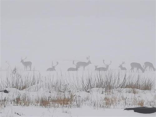 Ferienwohnung - 6 Personen -  - Fischerstr.9 - 17192 - Waren - Müritz