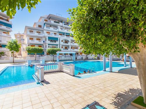 Ferienhaus - 4 Personen -  - Avenida Bélgica 6 Bajo - Torrevieja - 03188 - La Mata