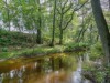 Bild 8 - Gebiet