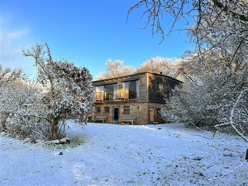 Ferielejlighed - 7 personer -  - Langendorfer Weg - 18445 - Groß Mohrdorf / Hohendorf