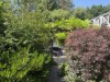 Billede 2 - Grund