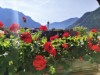 Bild 22
