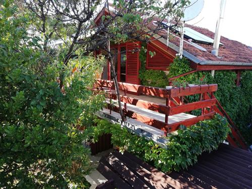 Holiday apartment - 4 persons -  - Punta Radman Put - 23231 - Petrcane
