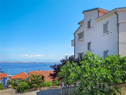 Holiday apartment - 6 persons -  - Ugljan/Ugljan - 23272