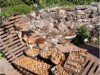 Image 14