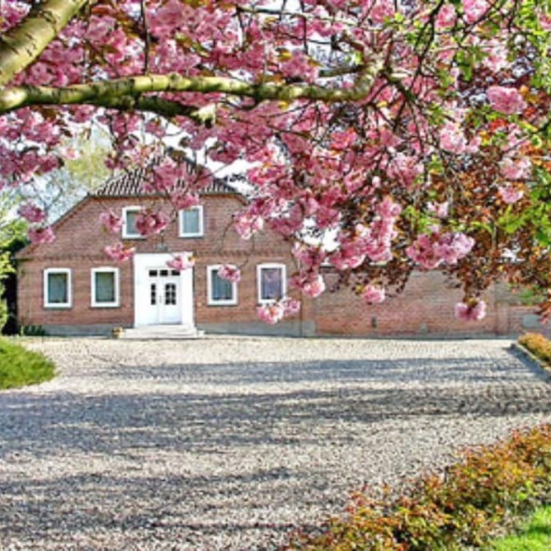 Sommerhus - 4 personer -  - 23769 - Kopendorf