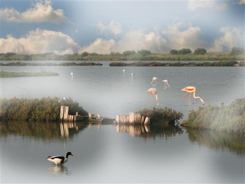 Sommerhus - 6 personer -  - Lido Di Pomposa - 44020