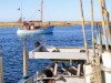 Bild 5 - Blick über's Wasser