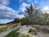 Bild 23